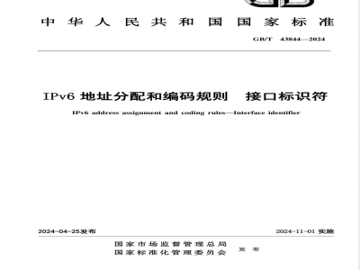 GB/T 43844-2024IPv6地址分配和编码规则 接口标识符 